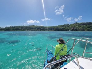 Reef Snorkeling Safari at Saint-Anne Marine Park